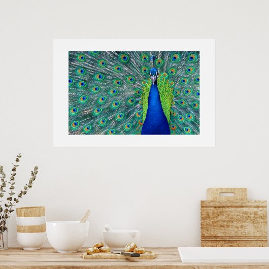 Peacock#3-Poster Poster (Keuken)