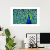 Peacock#3-Poster Poster (Thuiskantoor)