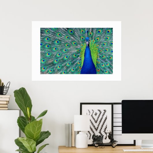 Peacock#3-Poster Poster (Thuiskantoor)