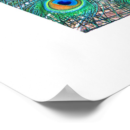 Peacock#3-Poster Poster (Hoek)