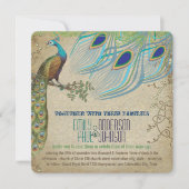 Peacock 3 Verfveren oud papier Kaart (Voorkant)