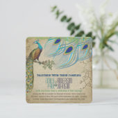 Peacock 3 Verfveren oud papier Kaart (Staand voorkant)