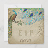 Peacock 3 Verfveren oud papier Kaart (Achterkant)