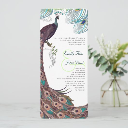 Peacock  3 Veters Kaart (Staand voorkant)