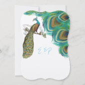 Peacock  4 Veters die het huwelijk verbreken Kaart (Achterkant)