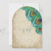 Peacock  4 Veters met Peacock Kaart (Achterkant)