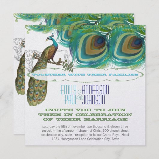Peacock 4 Veters met Peacock Kaart (Voorkant / Achterkant)