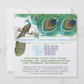 Peacock 4 Veters met Peacock Kaart (Voorkant)