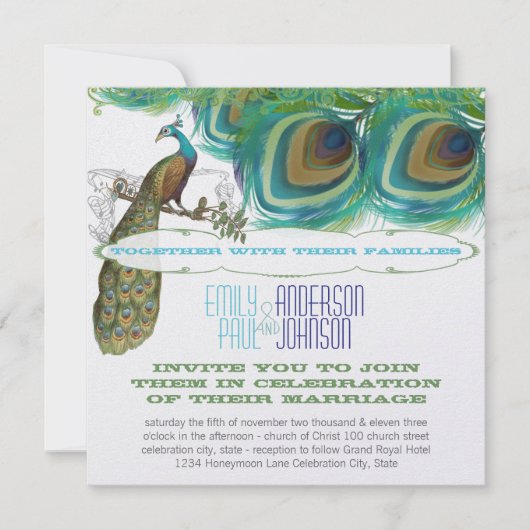 Peacock  4 Veters met Peacock Kaart (Voorkant)