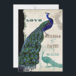 Peacock 5 - officiële bruiloft uitnodiging<br><div class="desc">Er zit een vleugje grilligheid en plezier in dit ontwerp met twee pauwen, een in volle intense kleuren van kobalt, pauw en aqua blauw met paarse en groene, de andere is een pen- en inkttekening in pauwblauw. Je hebt de keuze uit achtergrondkleuren, hier weergegeven in pauw of blauwgroen blauw. Selecteer...</div>