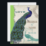 Peacock 5 - officiële bruiloft uitnodiging<br><div class="desc">Er zit een vleugje grilligheid en plezier in dit ontwerp met twee pauwen, een in volle intense kleuren van kobalt, pauw en aqua blauw met paarse en groene, de andere is een pen- en inkttekening in pauwblauw. Je hebt de keuze uit achtergrondkleuren, hier weergegeven in pauw of blauwgroen blauw. Selecteer...</div>