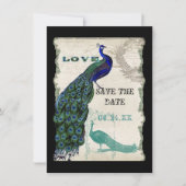Peacock 5 - sparen de Datum Save The Date (Voorkant)