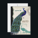 Peacock 5 - Uitnodiging tot het uitzenden van een<br><div class="desc">Er is een aanraking van waanzinnig en leuk in dit ontwerp met twee pauken, één in volle intense kleuren kobalt, pauw en aqua blauw met paars en groen, het andere is een pen en inkt die in pauw blauw tekenen. U hebt uw keuze uit achtergrondkleuren, hier in pauw of blauwgroen...</div>