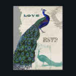 Peacock 5 - Uitnodiging tot het uitzenden van een Informatiekaartje<br><div class="desc">Er is een aanraking van waanzinnig en leuk in dit ontwerp met twee pauken, één in volle intense kleuren kobalt, pauw en aqua blauw met paars en groen, het andere is een pen en inkt die in pauw blauw tekenen. U hebt uw keuze uit achtergrondkleuren, hier in pauw of blauwgroen...</div>