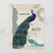 Peacock 5 - Uitnodiging tot het uitzenden van een Informatiekaartje (Voorkant / Achterkant)