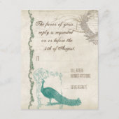 Peacock 5 - Uitnodiging tot het uitzenden van een Informatiekaartje (Achterkant)