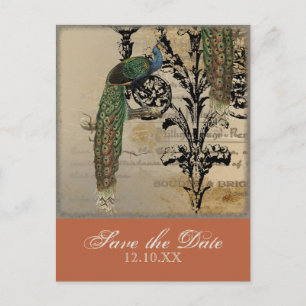 Peacock 6 - Save the Date Briefkaarten