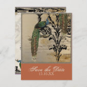  Peacock 6 - Save the Date Briefkaarten (Voorkant / Achterkant)