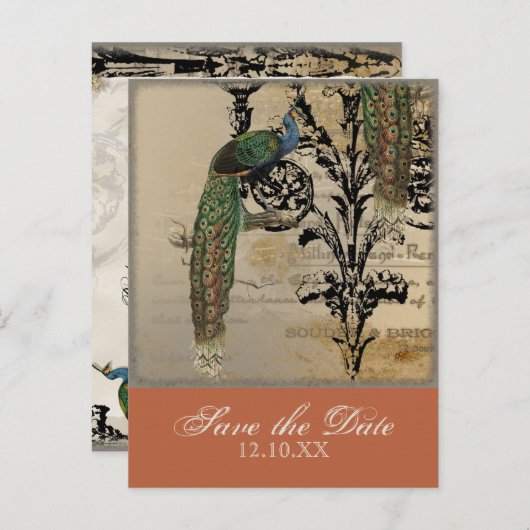  Peacock 6 - Save the Date Briefkaarten (Voorkant / Achterkant)