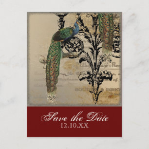 Peacock 6 - Save the Date Briefkaarten