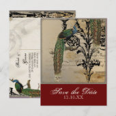  Peacock 6 - Save the Date Briefkaarten (Voorkant / Achterkant)