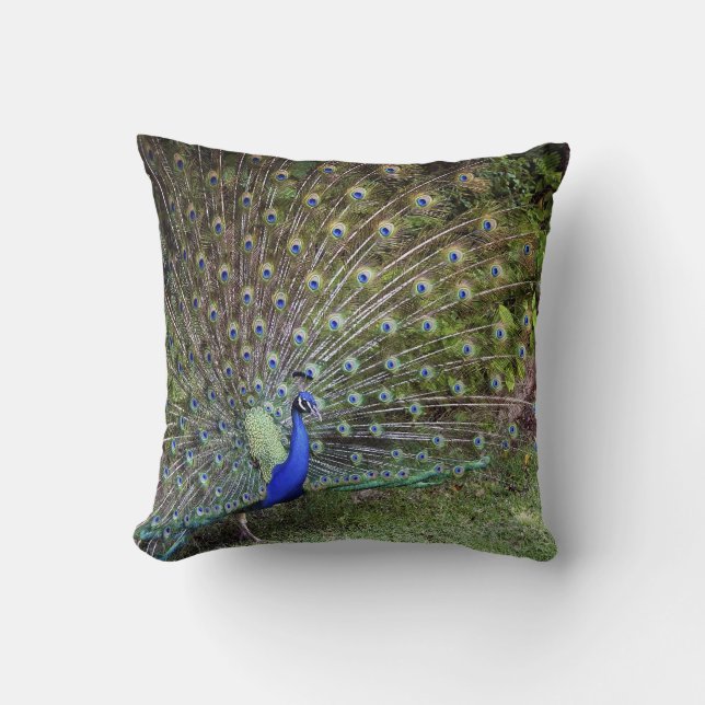 Peacock Accent Pillow Kussen (Voorkant)