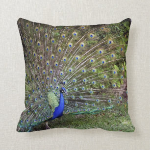 Peacock Accent Pillow Kussen