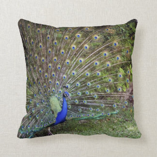 Peacock Accent Pillow Kussen