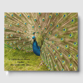 Peacock Afbeelding Gastenboek (Voorkant)