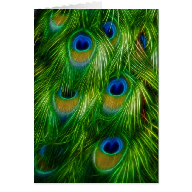 Peacock Afdrukken (Voorkant)