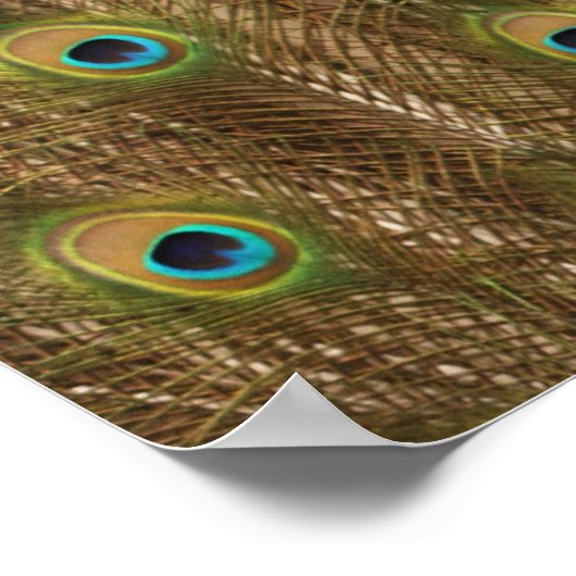 Peacock Afdrukken Poster (Hoek)