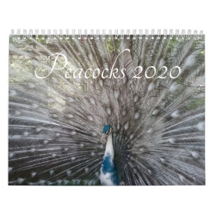 Peacock-agenda Kalender