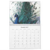Peacock-agenda Kalender (Jan 2027)