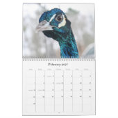 Peacock-agenda Kalender (Feb 2027)