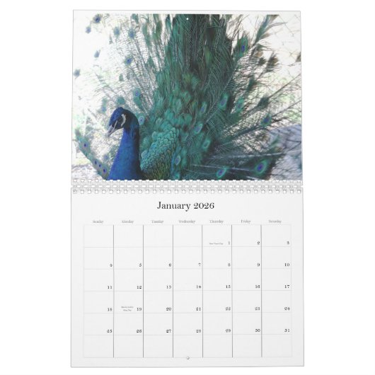 Peacock-agenda Kalender (Jan 2026)