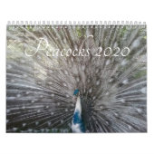 Peacock-agenda Kalender (Hoes)
