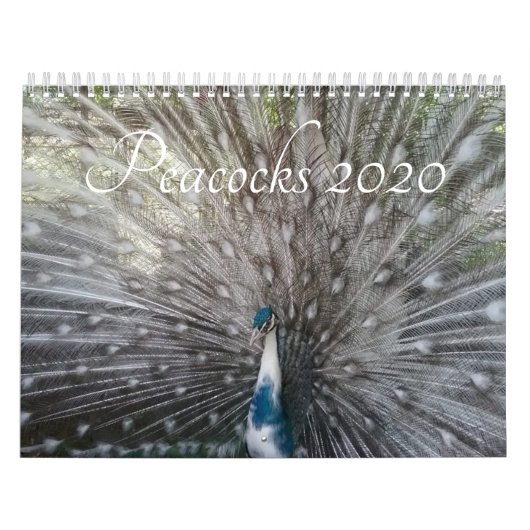 Peacock-agenda Kalender (Hoes)