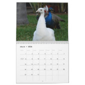 Peacock-agenda Kalender (Mar 2026)