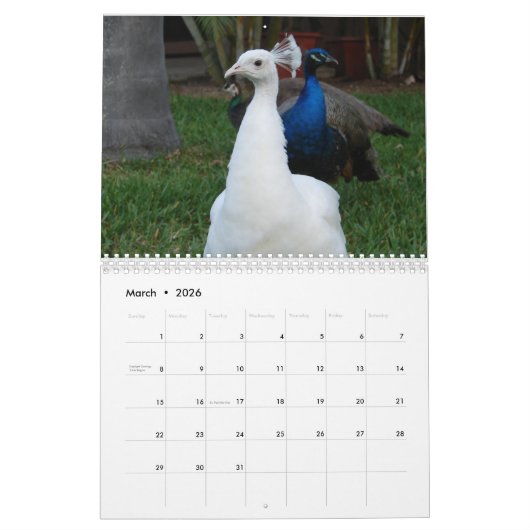 Peacock-agenda Kalender (Mar 2026)
