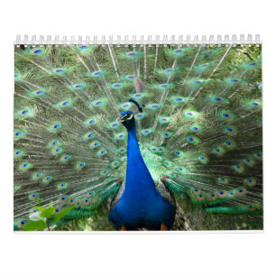 Peacock-agenda Kalender