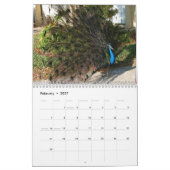 Peacock-agenda Kalender (Feb 2027)