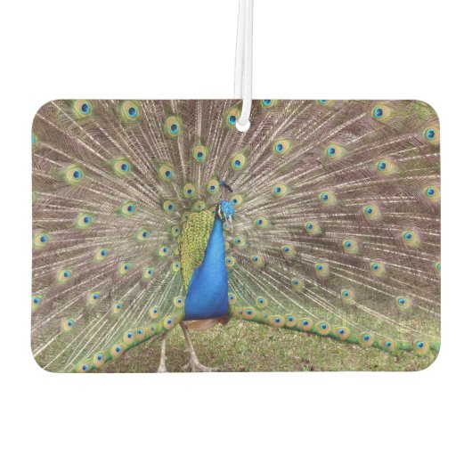 Peacock Air Freshener Luchtverfrisser (Achterkant)