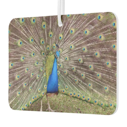 Peacock Air Freshener Luchtverfrisser (Links)