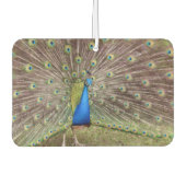 Peacock Air Freshener Luchtverfrisser (Voorkant)