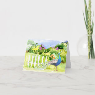 Peacock All Occasion Wenskaart Kaart