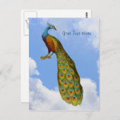 Peacock Art Bird Briefkaart (Voorkant / Achterkant)
