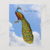 Peacock Art Bird Briefkaart (Voorkant)