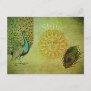  Peacock Art Collage Briefkaart