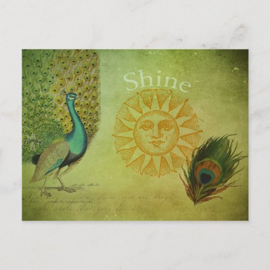 Peacock Art Collage Briefkaart (Voorkant)