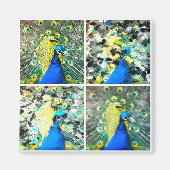 Peacock Art Magneet (Voorkant)